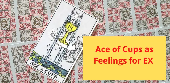 Tarot Ace of Cups as feelings for ex meaning
